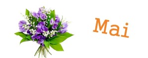 mai-muguet-fleurs